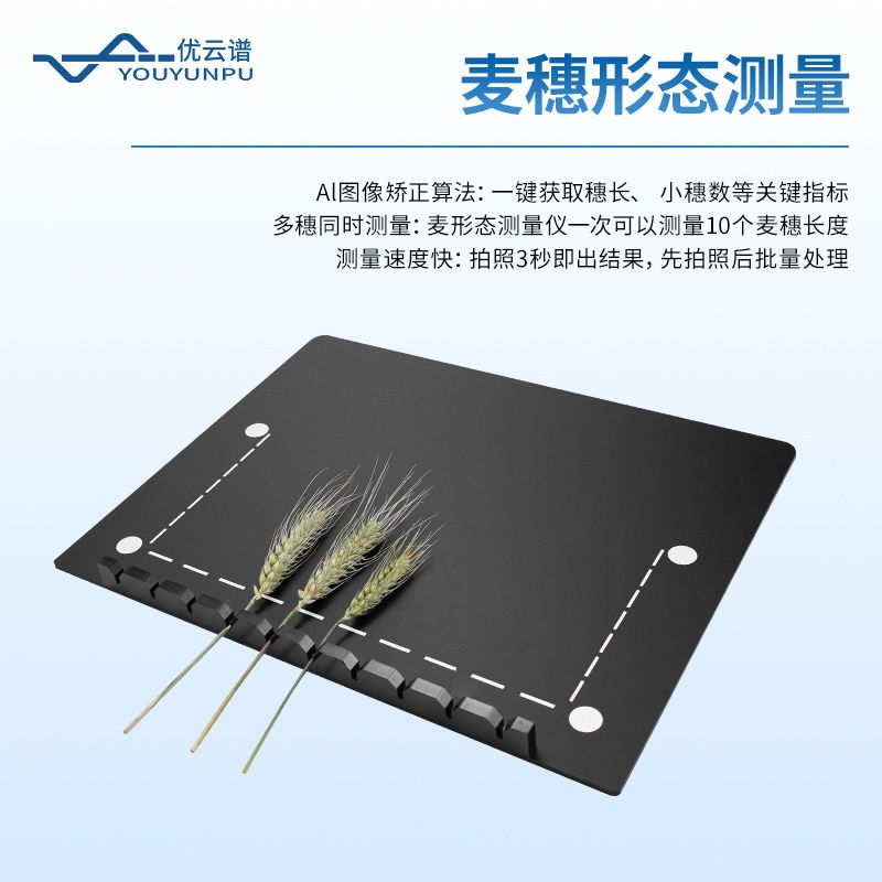小麥畝穗數(shù)測(cè)量?jī)x