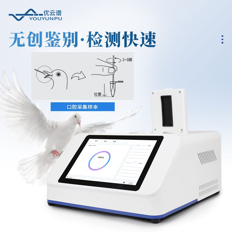 鴿子性別檢測(cè)儀