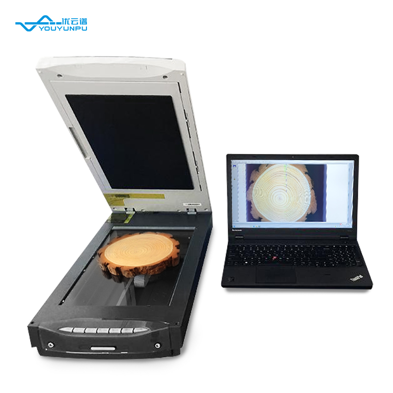 樹木年輪分析儀如何測量工作？